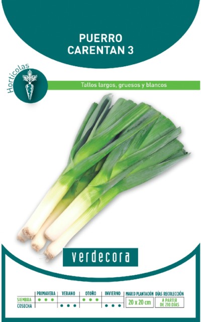 Semillas de puerro Verdecora