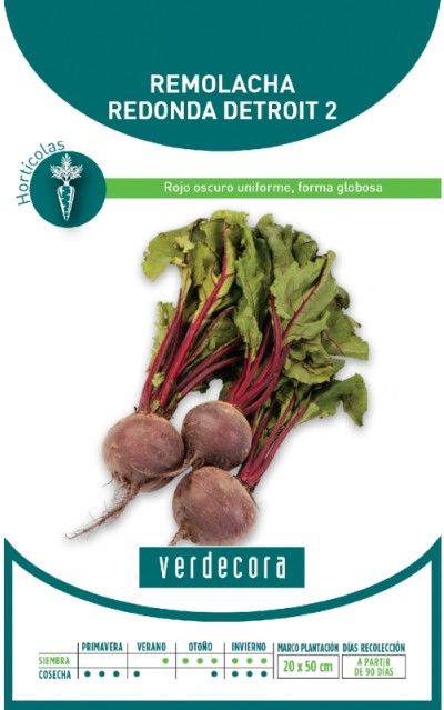 Semillas de remolacha redonda detroit