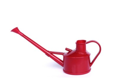 Regadera para bonsáis