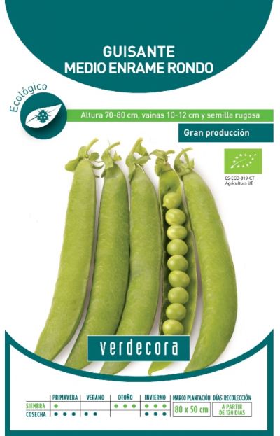 Semillas ecológicas de guisante Verdecora