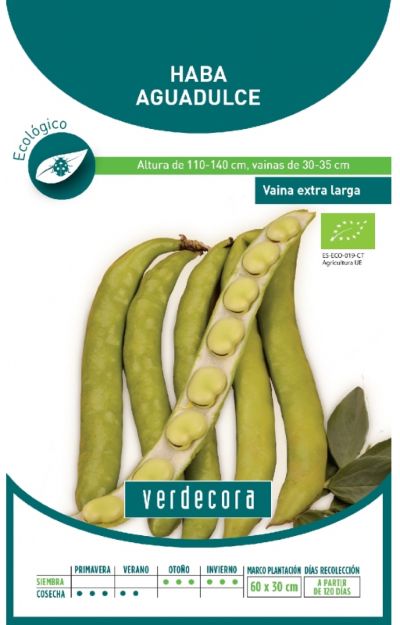 Semillas de haba Verdecora