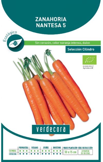 Semillas ecológicas de zanahoria