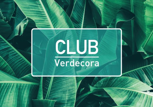 Tarjeta Verdecora