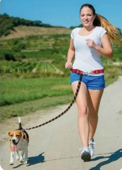 Arnés para hacer deporte con tu perro