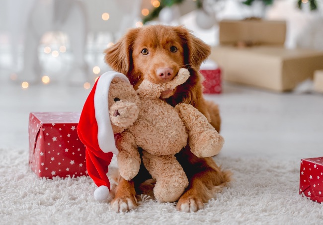 Juguetes para perros en Navidad