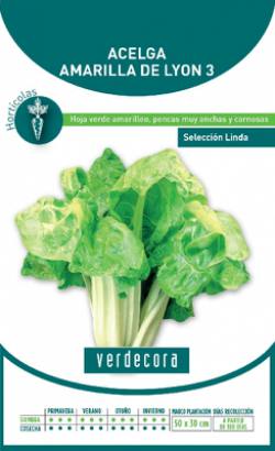 Semillas de acelga Lyon que plantar en diciembre