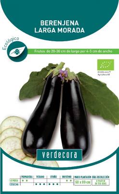 Semillas de berenjena morada