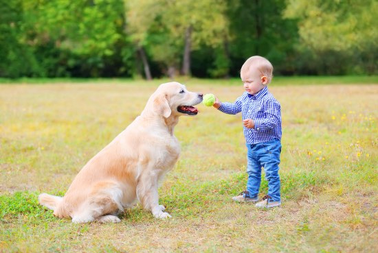 Niño jugando con perro a la pelota