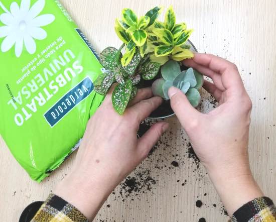 Cómo hacer macetas de cristal