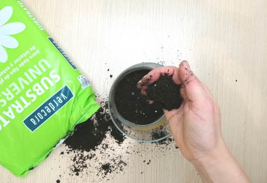 Macetas de cristal decoradas para plantas