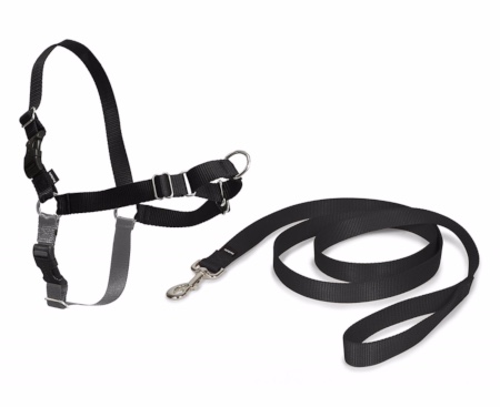 Correa de arnés para perro