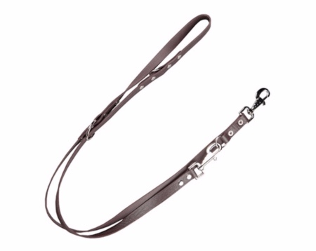 Correa de paseo para perros