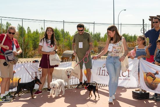 Desfile canino en Verdecora