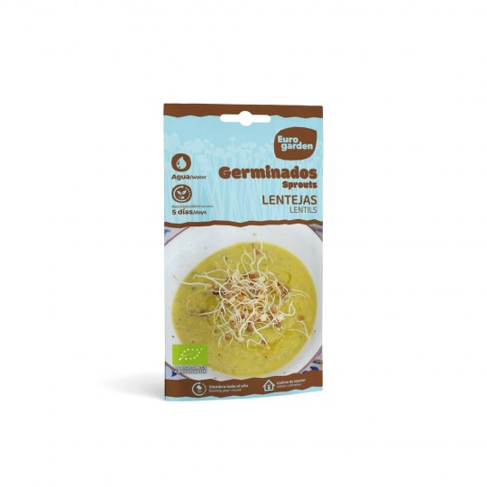 Semillas de lenteja para hacer germinados