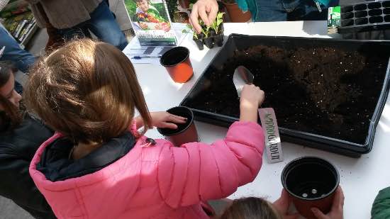 Talleres en Verdecora para niños
