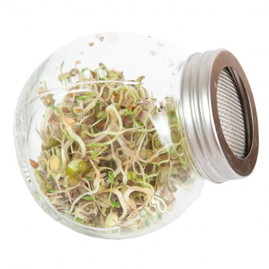 Tarro de germinados