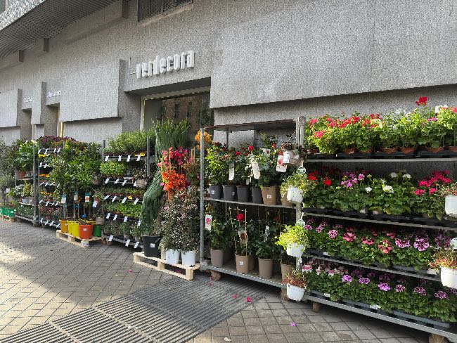 Tiendas Verdecora Urban