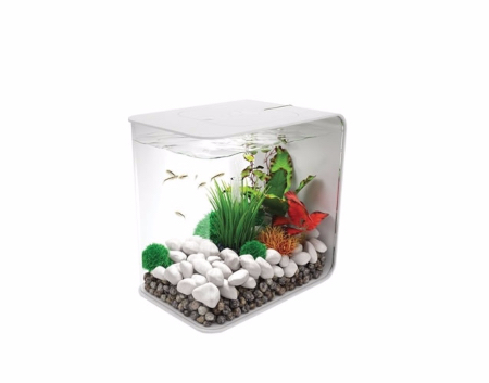 Acuario nano decorativo