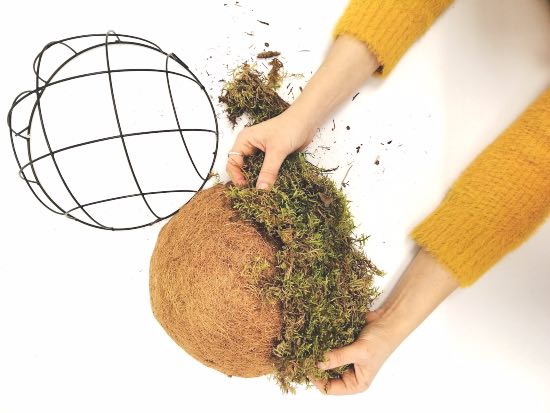 Arreglo con suculentas para hacer con niños