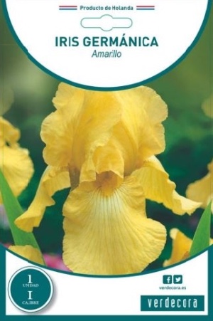 Bulbo de iris marca Verdecora