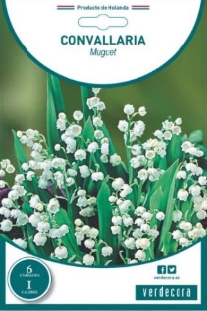 Bulbos de muguet marca Verdecora
