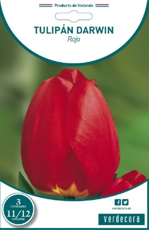 Tulipán rojo marca Verdecora