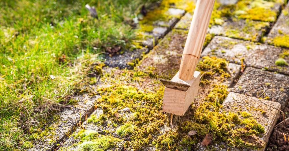 Cómo limpiar y recuperar un jardin descuidado o abandonado