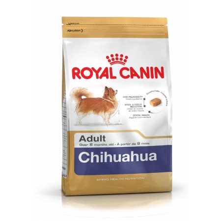 Alimento para chihuahuas, uno de los mejores perros perros para personas que viven solas