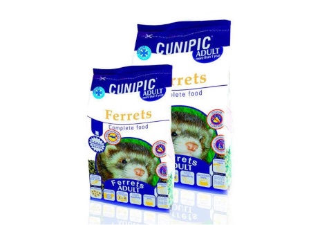 Pienso específico, fundamental en los cuidados de un hurón