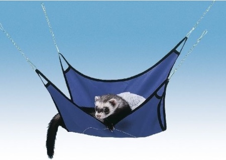 Hamaca para hurones