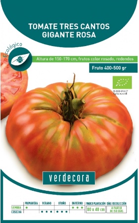 Cómo cultivar tomates indeterminados
