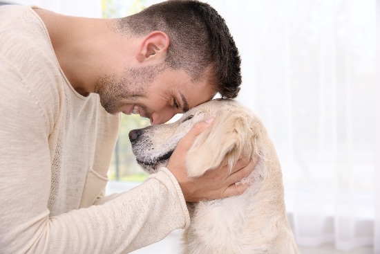 Qué provoca la ansiedad por separación en perros