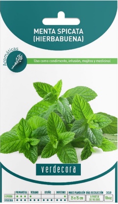 Semillas de menta Verdecora