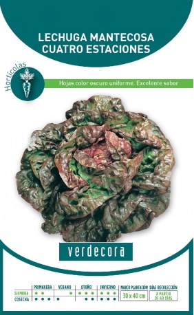 Semillas de lechuga cuatro estaciones