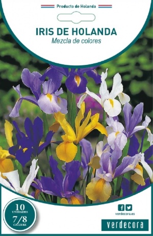 Iris, uno de los bulbos para plantar en octubre