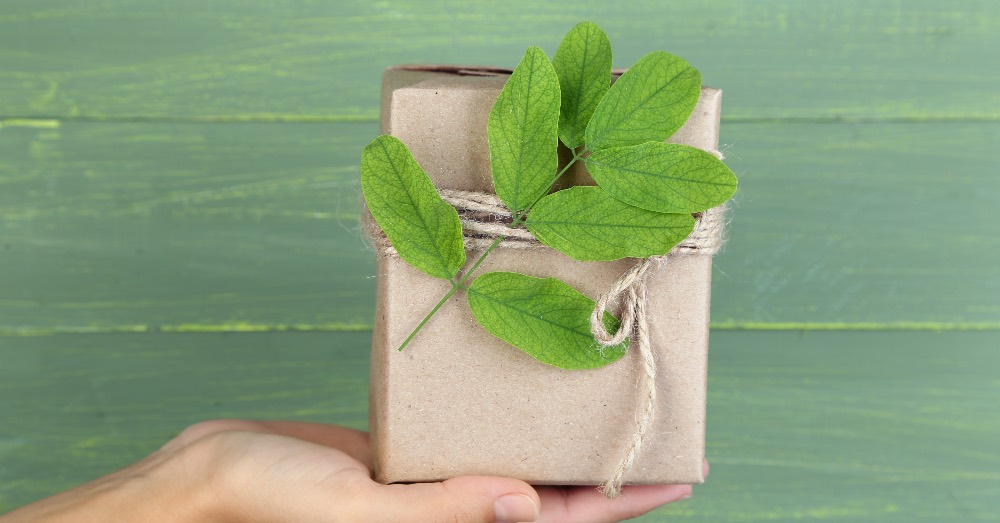 Plantas para regalar en Reyes especiales