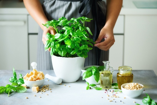 Usos de la albahaca en cocina