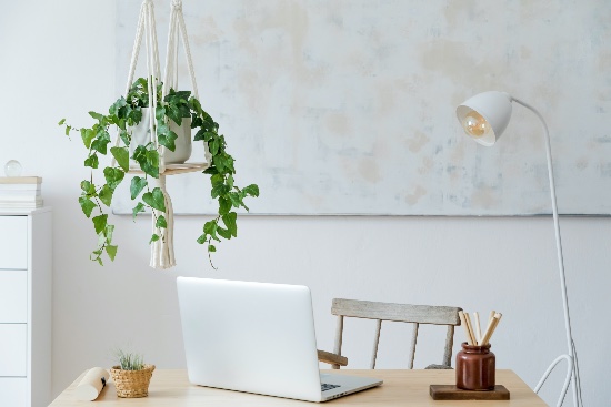 Decoración con plantas colgantes