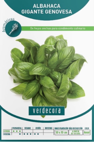 Semillas de albahaca genovesa Verdecora
