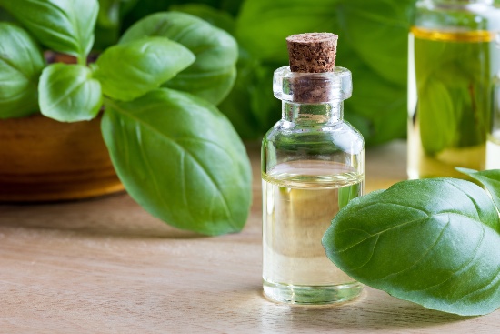 Propiedades medicinales de la albahaca