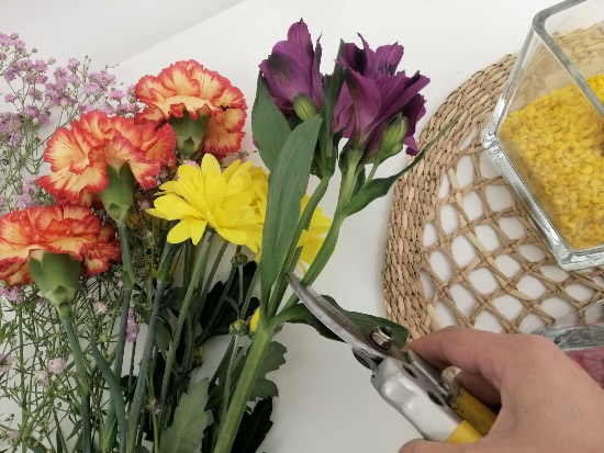 Flores para decoración de primavera