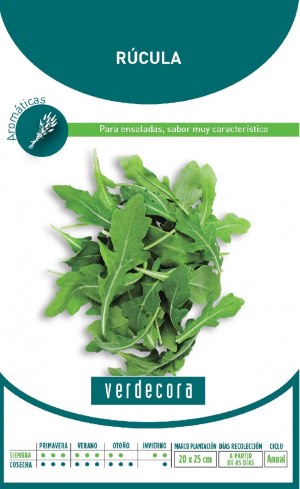 Rúcula, una de las plantas de huerto de verano