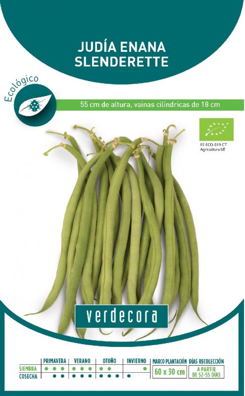 Judías verdes enanas