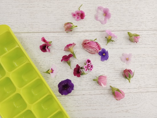 Pasos para hacer cubitos de hielo con flores