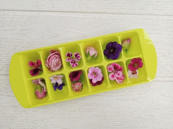 Hacer cubitos de hielo originales