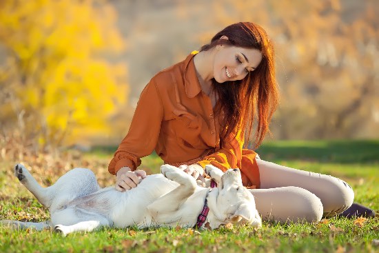 Pautas para el ejercicio físico para perros