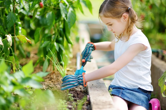 Labores del huerto para niños