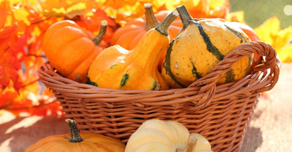 Plagas del huerto en otoño que hay que vigilar