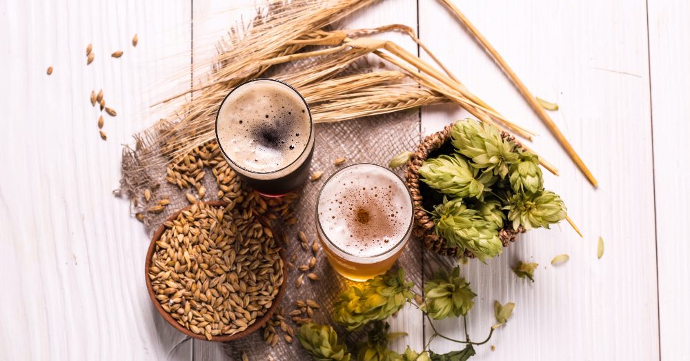 Qué es la cerveza ecológica y sus beneficios