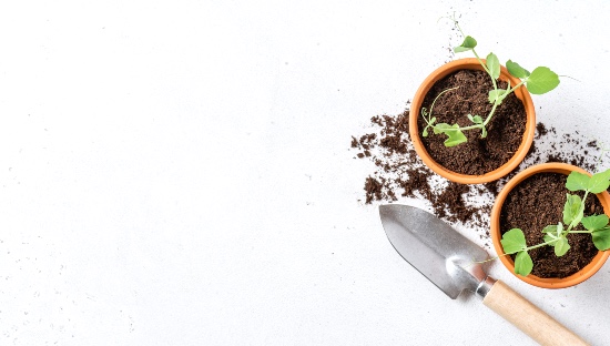 Macetas para plantas de huerto